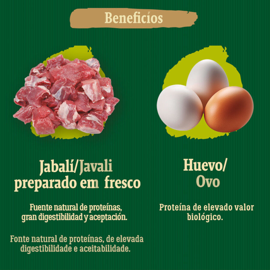 True Origins Wild Greenlands ra&ccedil;&atilde;o para c&atilde;es., , large Imagem n&uacute;mero 5