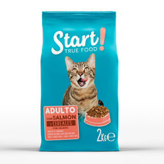 Start! Adulto Salmão e Cereais ração para gatos