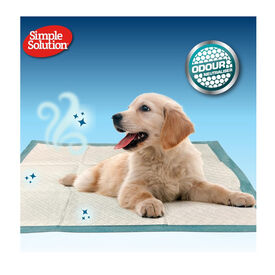 Simple Solution Resguardos para c&atilde;es