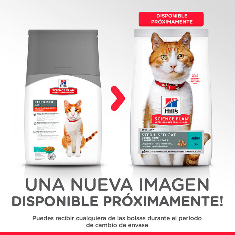 Hill's Science Plan Young Adult Sterilised Atum ração para gatos, , large image number null