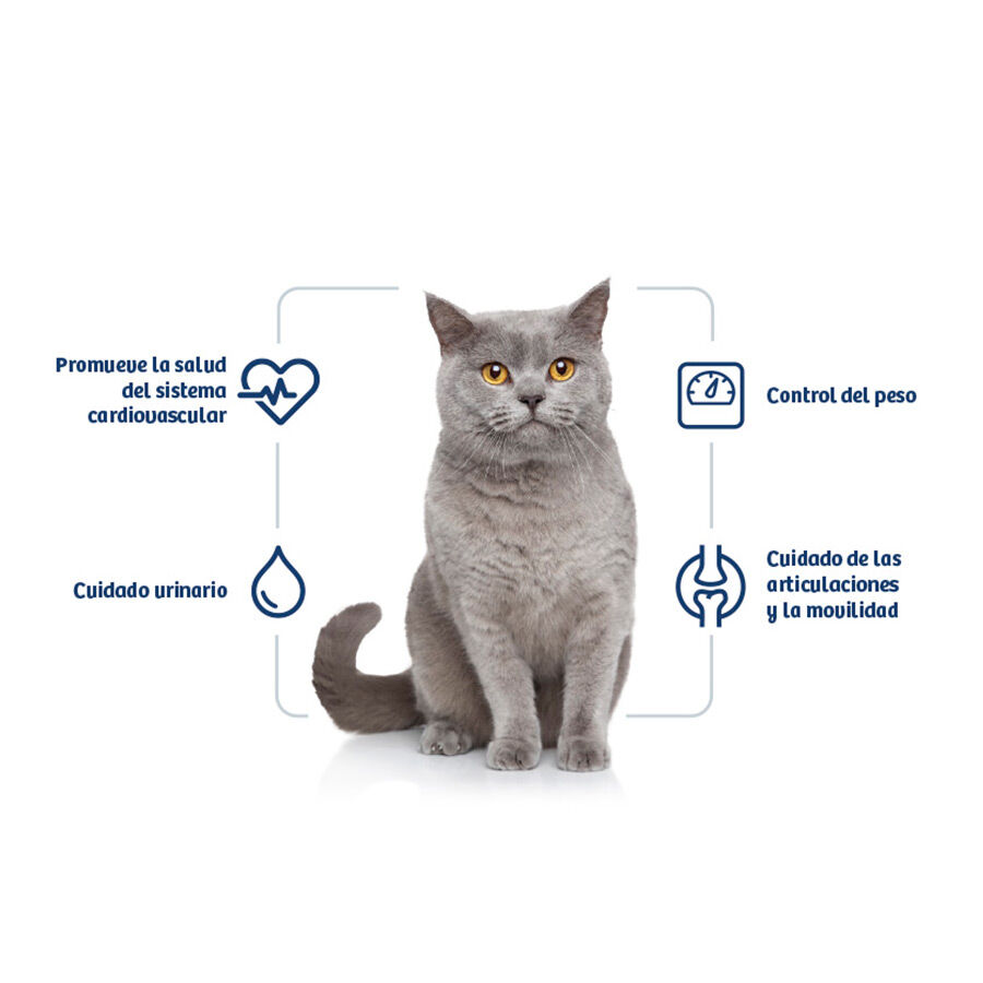 10 kg Nath Adult Sterilised Frango e Arroz ra&ccedil;&atilde;o para gatos, , large Imagem n&uacute;mero 2