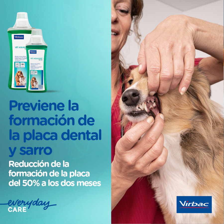 Virbac Vet Aquadent Elixir Bucal para c&atilde;es e gatos, , large Imagem n&uacute;mero 6