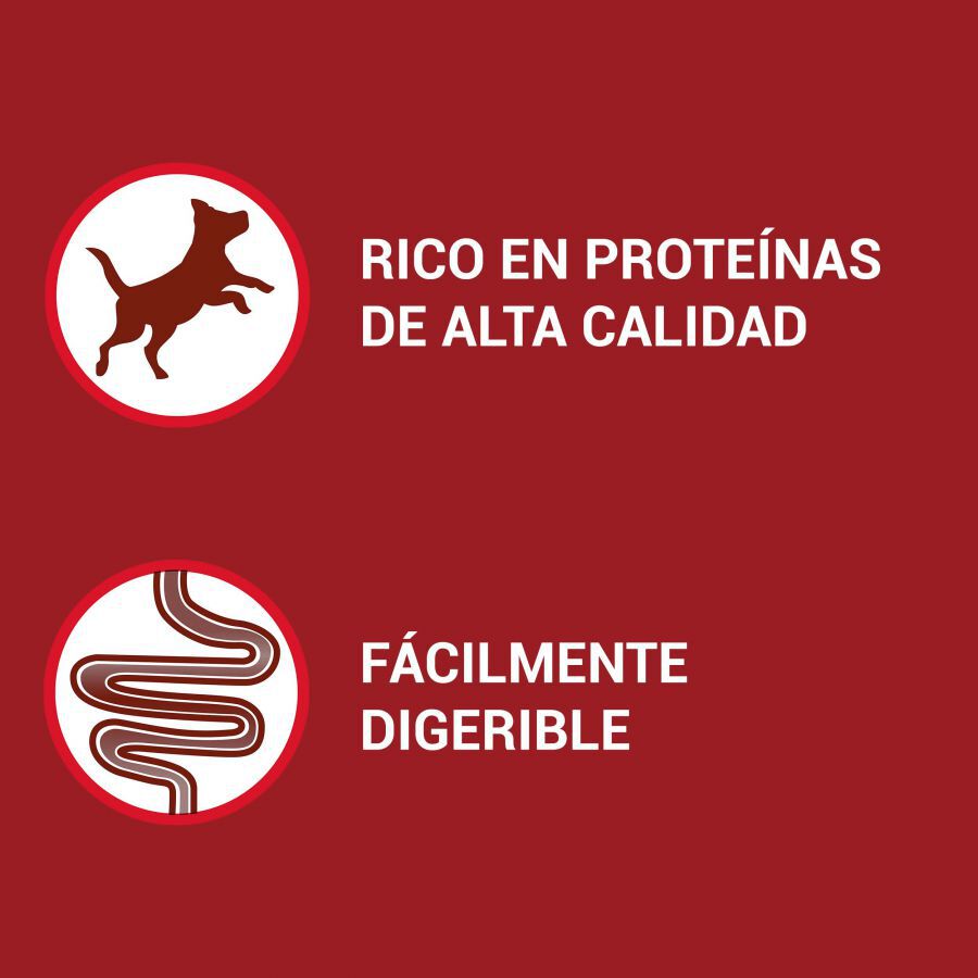 4 saquetas x 100 g Purina One Mini Active Boi e Pato saqueta em molho para c&atilde;es, , large Imagem n&uacute;mero 3