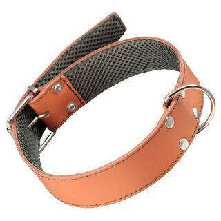 Arppe coleira de couro natural costurado para cães