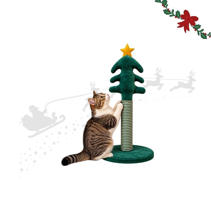 Wonder Christmas Arranhador de Natal para gatos, , large Imagem n&uacute;mero 1
