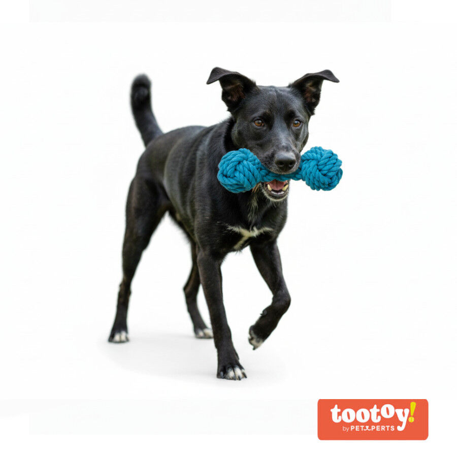 Tootoy! Pull Mordedor corda com par de bolas para c&atilde;es, , large Imagem n&uacute;mero 8