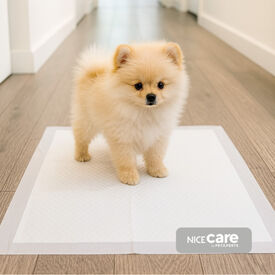 Nice Care Resguardos para cães