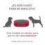 TK-Pet Simba Cama Vermelha Viscolástica para cães, , large Indicador imagem número 2