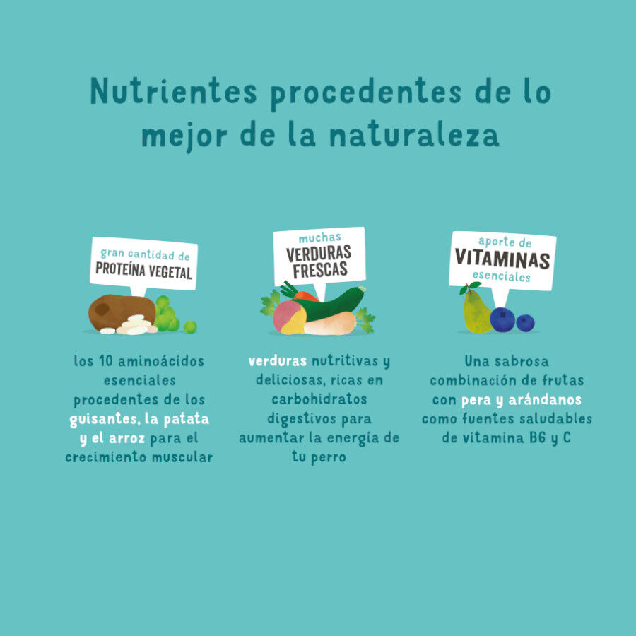 7 kg Edgard & Cooper Ra&ccedil;&atilde;o de cenoura e curgete para c&atilde;es, , large Imagem n&uacute;mero 4