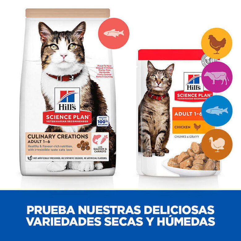10 kg Hill's Science Plan Culinary Creations Ração de salmão e cenoura para gatos,  Imagem número 8 10 kg Hill's Science Plan Culinary Creations Ração de salmão e cenoura para gatos, , large Imagem número 8