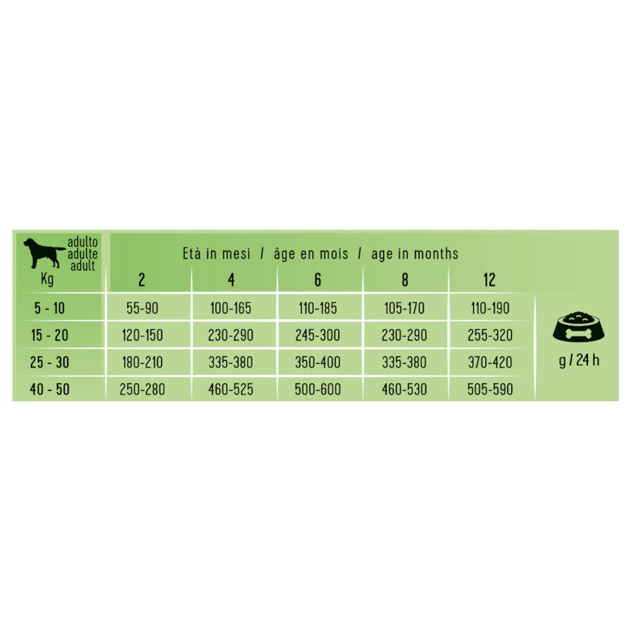 2.24 kg Schesir Puppy Natural Selection Cordeiro ra&ccedil;&atilde;o , , large Imagem n&uacute;mero 3