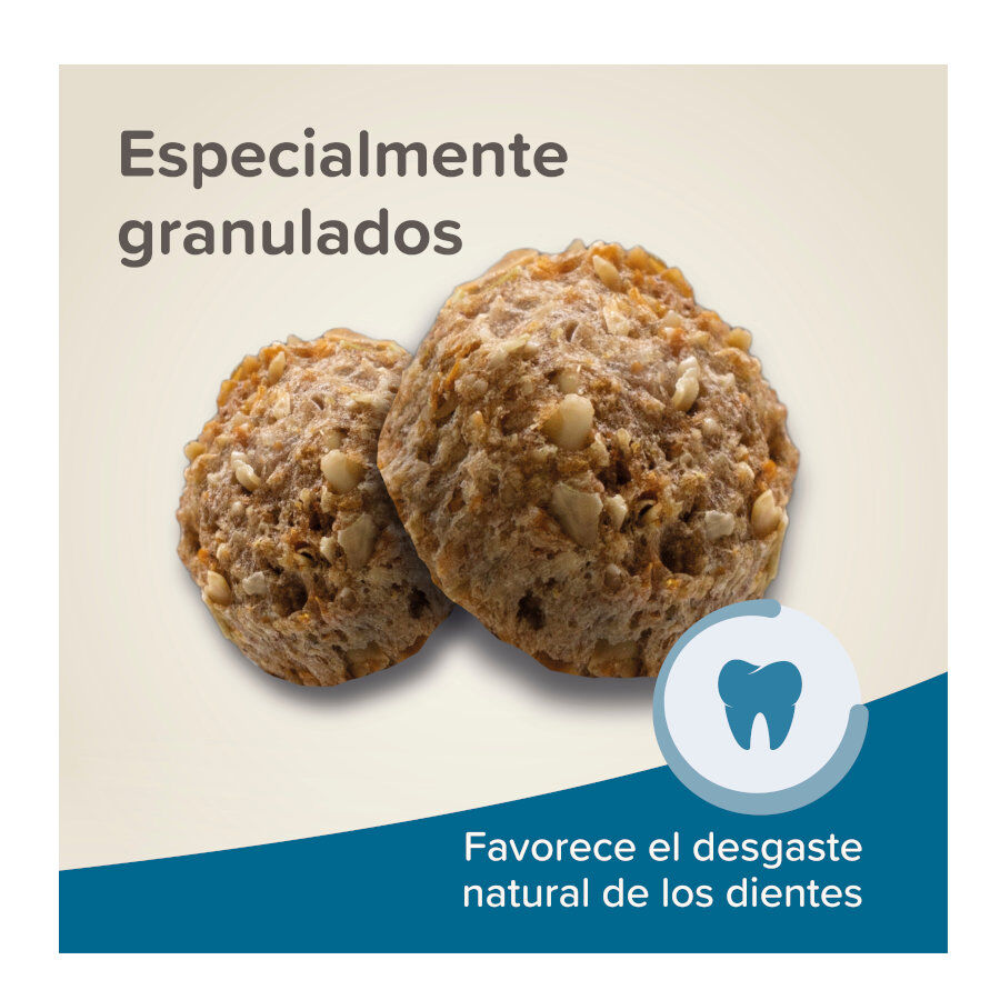 Beaphar Care+ ra&ccedil;&atilde;o para coelhos adultos super premium, , large Imagem n&uacute;mero 4