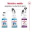 15 kg Royal Canin Adult Giant ração para cães, , large Indicador imagem número 8