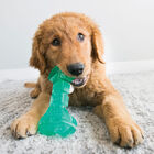Kong Squeeze Dental Stick brinquedo para cães, , large image number null