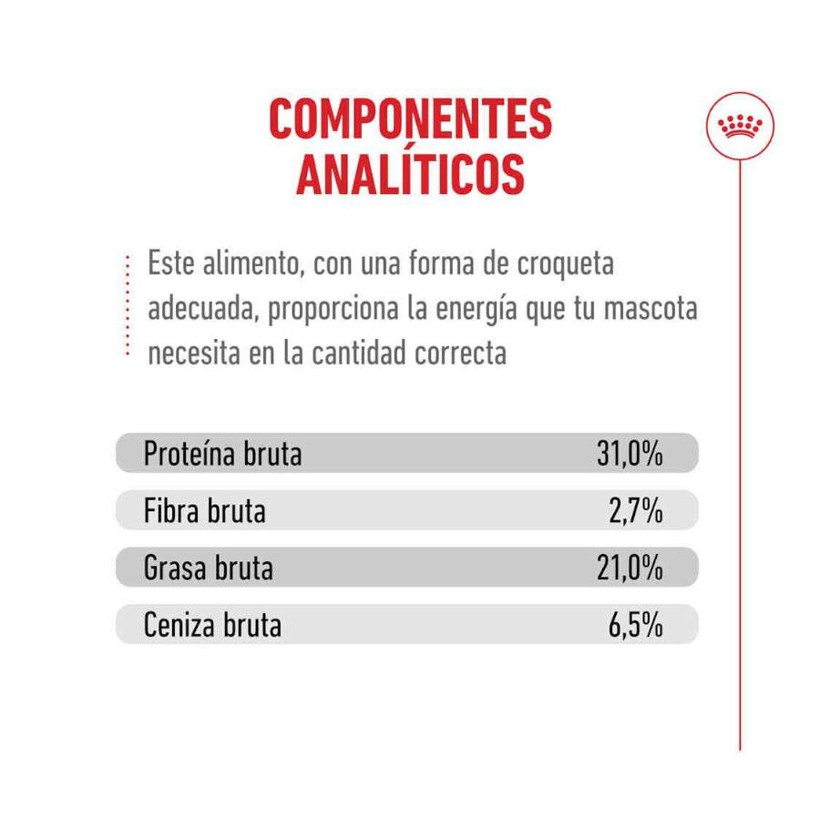 400 g Royal Canin Ageing +15 Ra&ccedil;&atilde;o para gato s&eacute;nior, , large Imagem n&uacute;mero 9