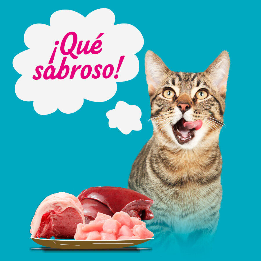 12 latas x 400 g Start Multipack de Carne e Peixe em Gelatina para Gatos, , large Imagem n&uacute;mero 4