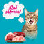 Start Multipack de Carne e Peixe em Gelatina para Gatos, , large Indicador imagem número 4