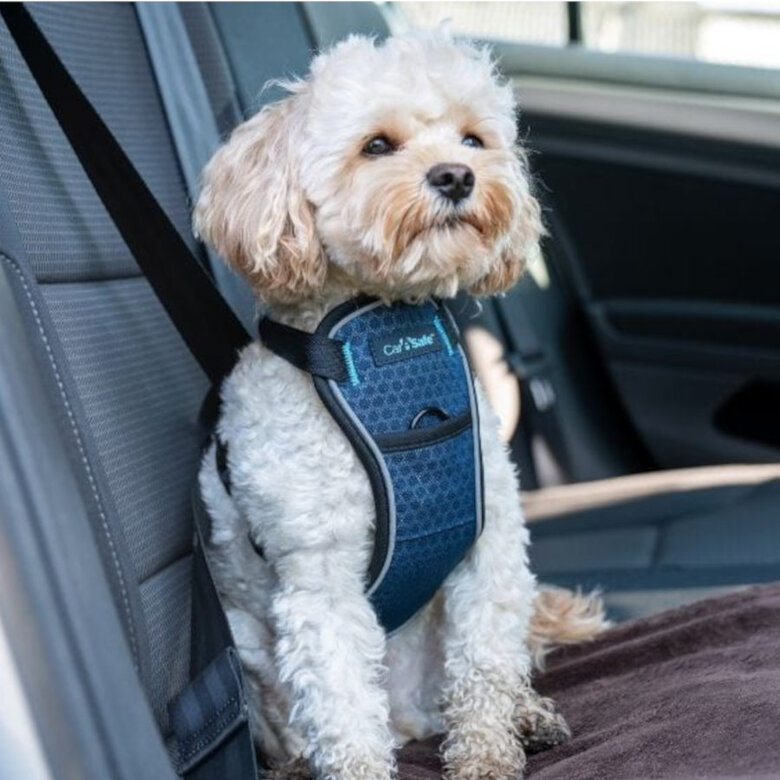CarSafe Peitoral para carro Azul para Cães,  Imagem número 2 CarSafe Peitoral para carro Azul para Cães, , large Imagem número 2