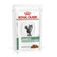 48 saquetas x 85 g Royal Canin Veterinary Diet Diabetic saqueta para gatos Pack poupança!, , large Indicador imagem número 1
