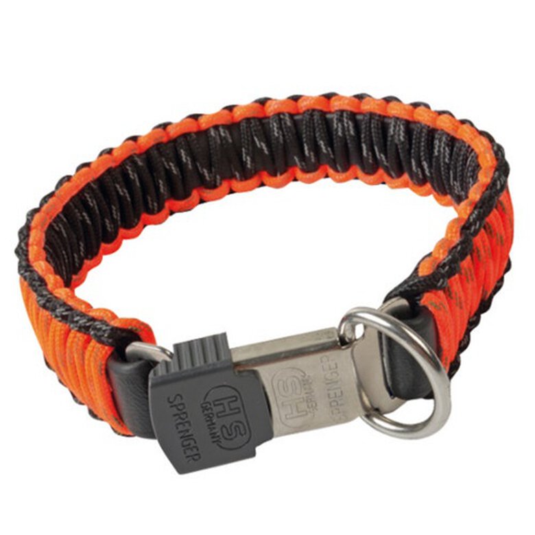 HS Sprenger Coleira Laranja para cães,  Imagem número 1 HS Sprenger naranja collar para perros Imagem número 1