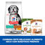 Hill's Science Plan Perfect Weight e Active Mobility Medium Frango ração para cães, , large Indicador imagem número 9