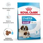 Royal Canin Starter Puppy Giant Ração, , large image number null