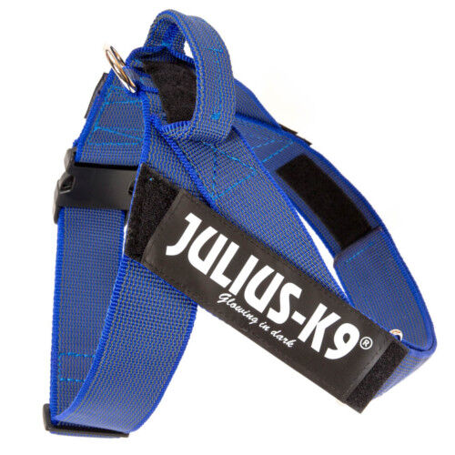 Julius K9 arn&eacute;s IDC Cinta azul para perros Imagem n&uacute;mero 1