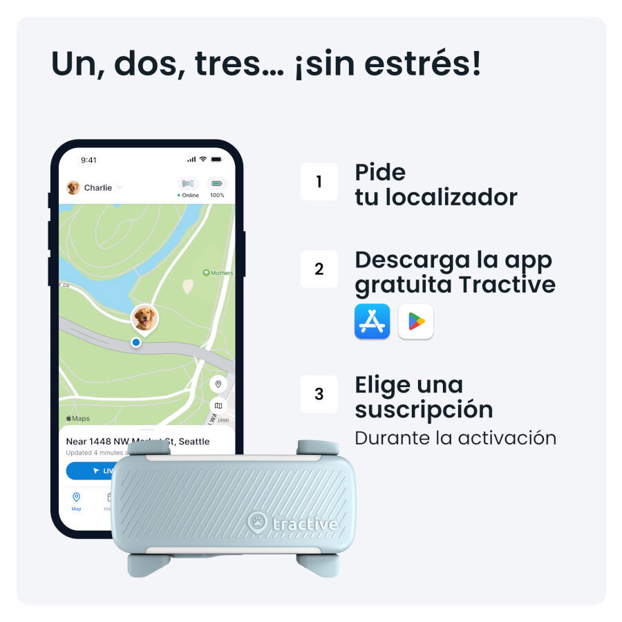 Tractive GPS Dog 6 Rastreador Mint de c&atilde;es , , large Imagem n&uacute;mero 6