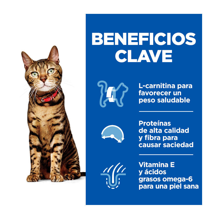 12 saquetas x 85 g Hill's Science Plan Light Adult Blue Fish and Chicken in Sauce sach&ecirc; para gatos, , large Imagem n&uacute;mero 3