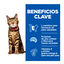 12 saquetas x 85 g Hill's Science Plan Light Adult Blue Fish and Chicken in Sauce sach&ecirc; para gatos, , large Indicador imagem n&uacute;mero 3