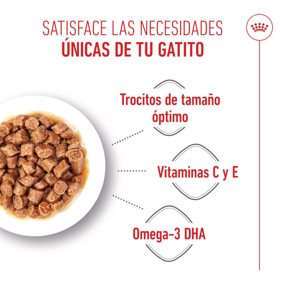 85 g Royal Canin Kitten Alimento H&uacute;mido para gatinhos, , large Imagem n&uacute;mero 4