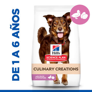 Hill's Science Plan Culinary Creations Pato e Batata ração para cães médios.