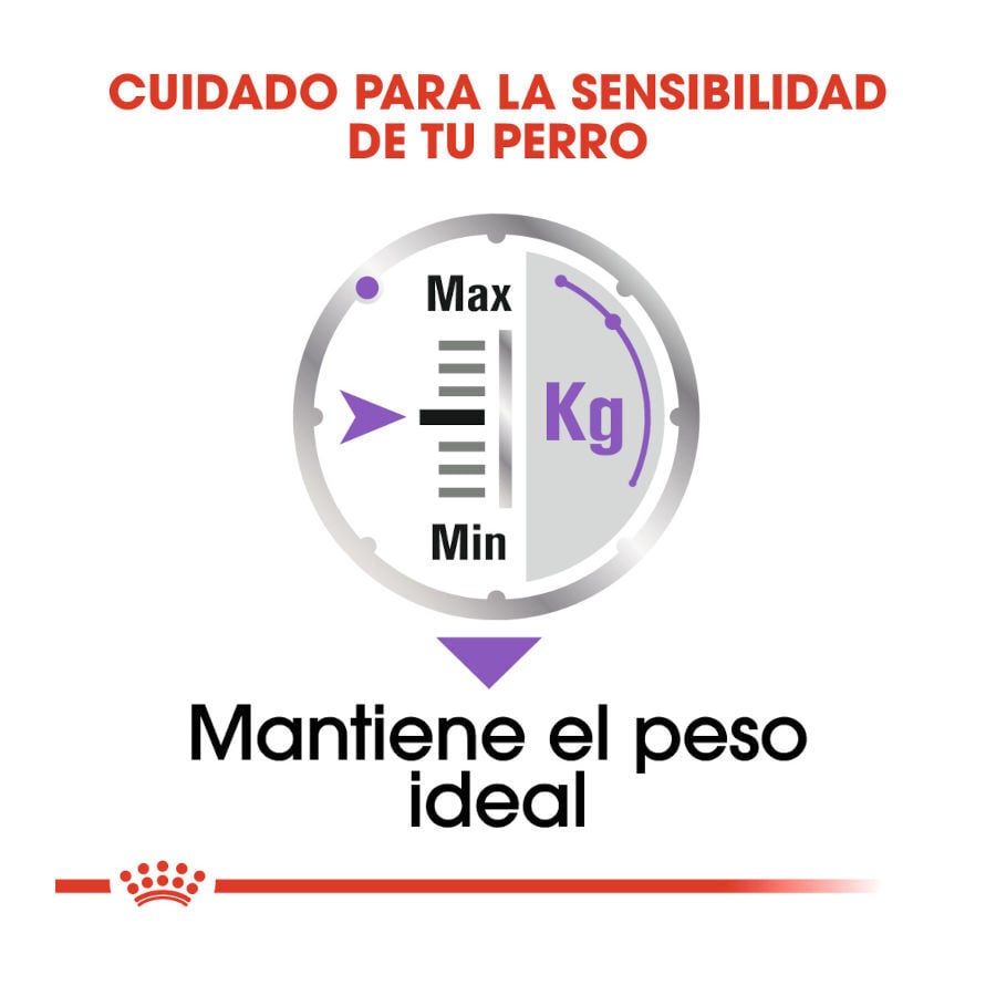 85 g Royal Canin Sterilised Pat&ecirc; em saquetas para c&atilde;es , , large Imagem n&uacute;mero 5