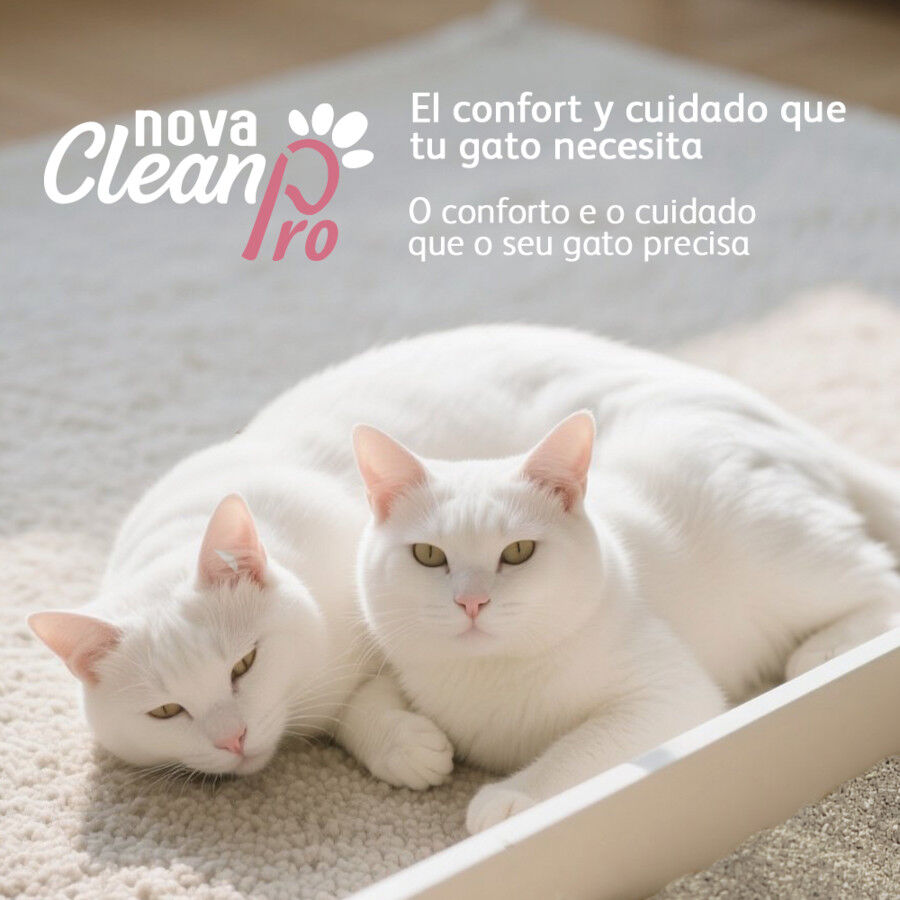 Nova Clean Pro Areia Multicat para gatos, , large Imagem n&uacute;mero 5