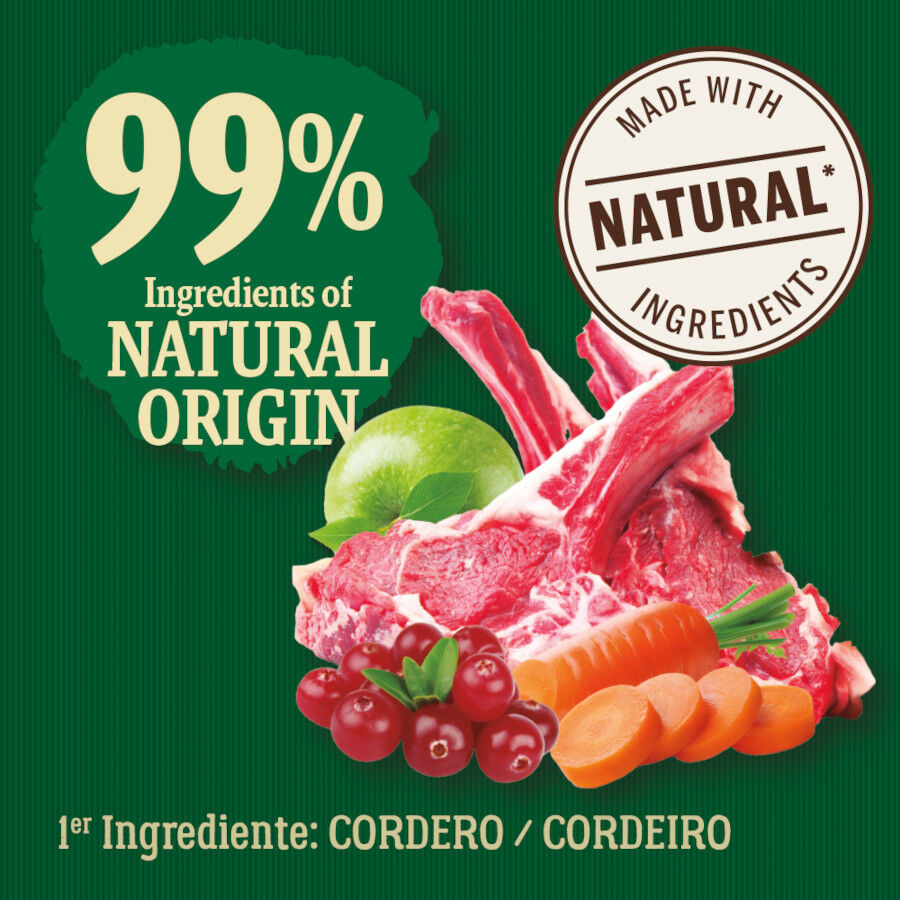 True Origins Wild Forest ra&ccedil;&atilde;o de cordeiro para c&atilde;es, , large Imagem n&uacute;mero 3