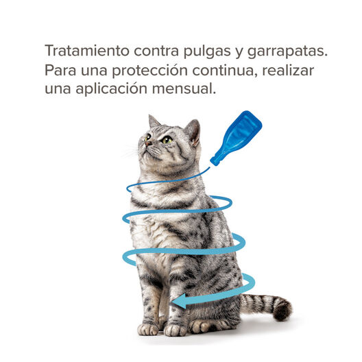 Beaphar Firprotec Spot em pipetas antiparasitárias para gatos, , large image number null