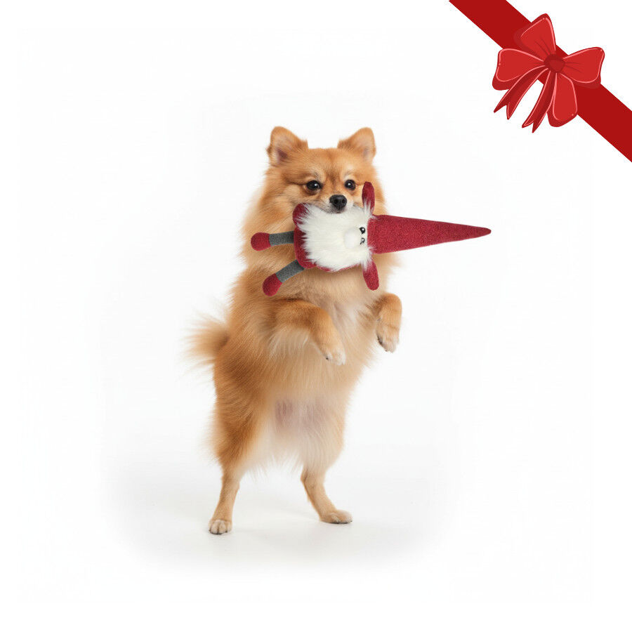 Wonder Christmas Peluche Pai Natal para C&atilde;es, , large Imagem n&uacute;mero 1