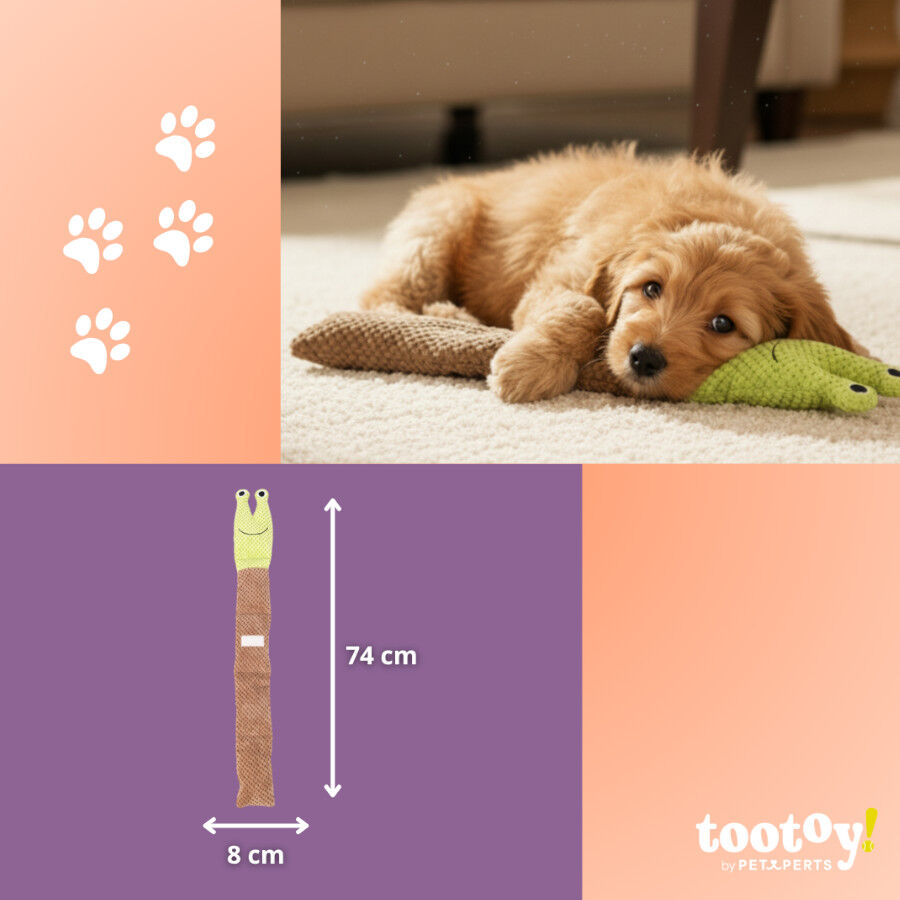 Tootoy! Comfort Caracol de brinquedo para c&atilde;es, , large Imagem n&uacute;mero 4