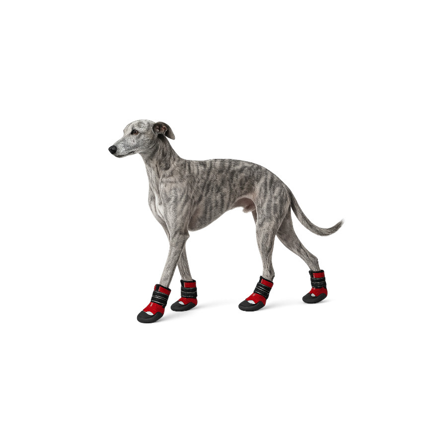Gotoo Sapatos Vermelhos e Pretos para c&atilde;es, , large Imagem n&uacute;mero 7