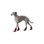 Gotoo Sapatos Vermelhos e Pretos para c&atilde;es, , large Indicador imagem n&uacute;mero 7