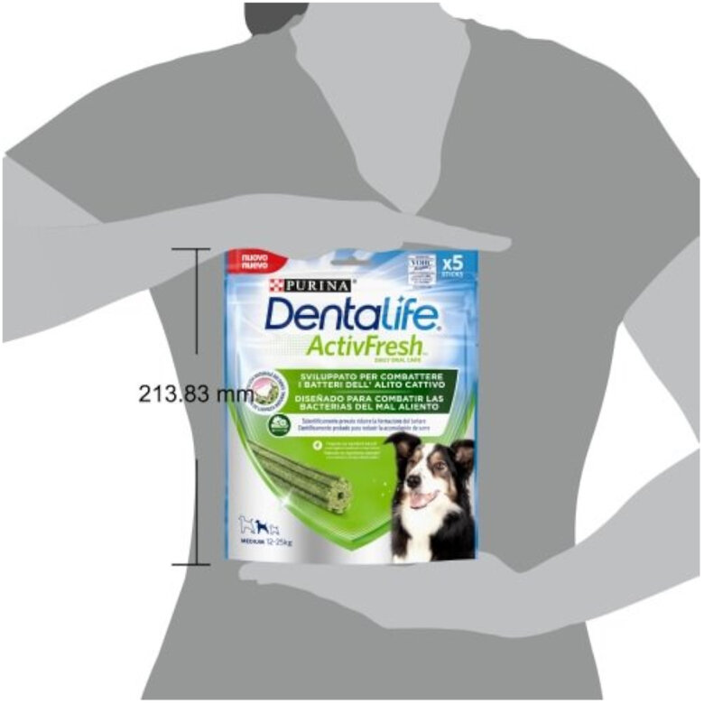 Dentalife Snacks Dentários Medium ActivFresh para cães , , large image number null