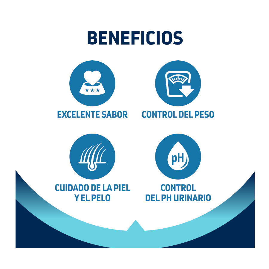 12 kg (10 + 2 gr&aacute;tis!) Advance Active Defense Adult Sterilized Peru e Cevada ra&ccedil;&atilde;o para gatos, , large Imagem n&uacute;mero 3