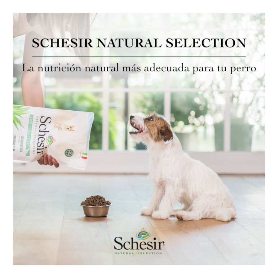 2.24 kg Schesir Adult Small & Toy Natural Selection Ra&ccedil;&atilde;o de peru para c&atilde;es, , large Imagem n&uacute;mero 8