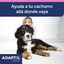 Adaptil Junior Coleira Anti-stress para cães, , large Indicador imagem número 3