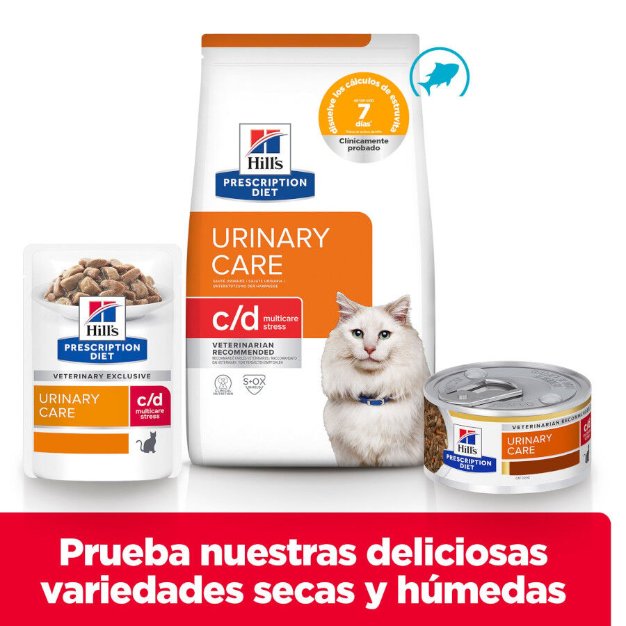 3 kg Hill's Prescription Diet c/d Urinary Stress Peixe Azul Ra&ccedil;&atilde;o para gatos, , large Imagem n&uacute;mero 9