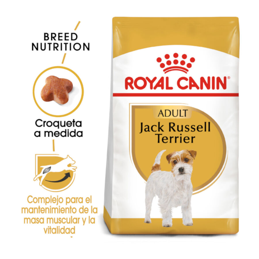 Royal Canin Adult Jack Russell Terrier ra&ccedil;&atilde;o para c&atilde;es, , large Imagem n&uacute;mero 2