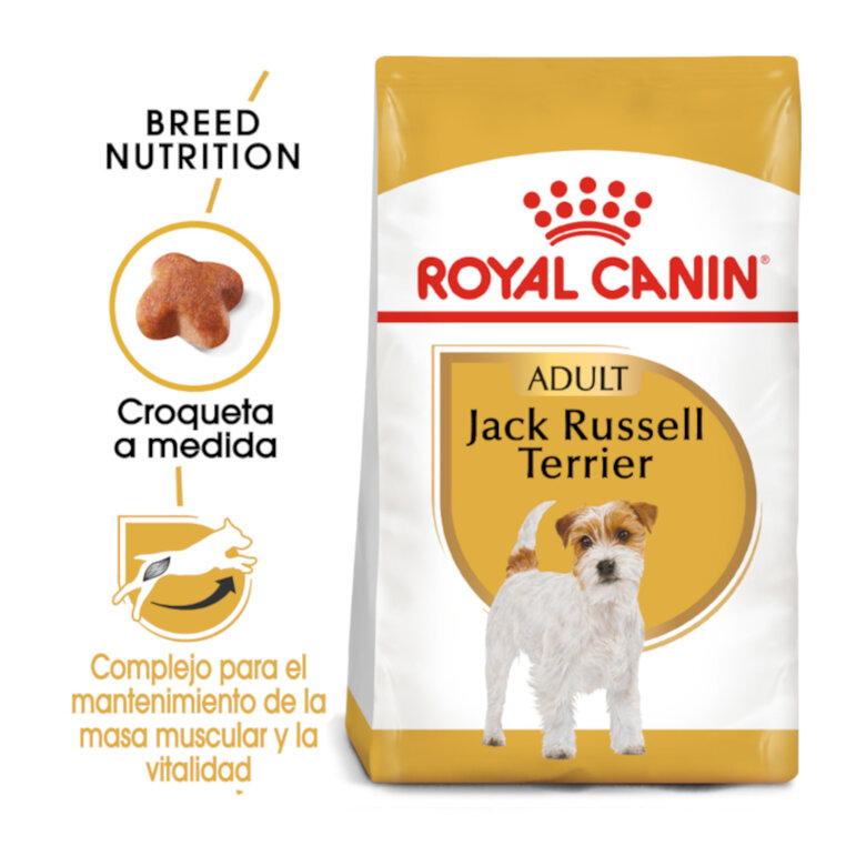 Royal Canin Adult Jack Russell Terrier ração para cães, , large image number null