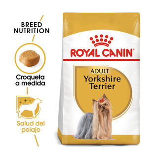 Royal Canin Adult Yorkshire Terrier ração para cães