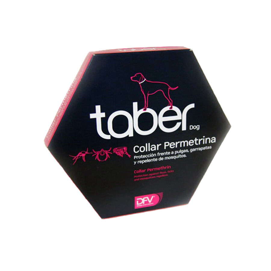 Taber Coleira Antiparasit&aacute;rio para c&atilde;es , , large Imagem n&uacute;mero 1