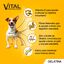 Gelatina de frango e peixe Pedigree para cães - Multipack, , large Indicador imagem número 5